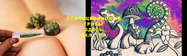 амф Каменка