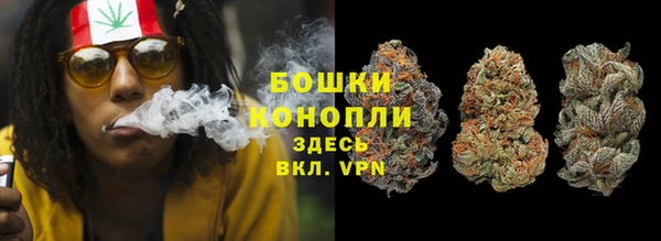 амф Каменка