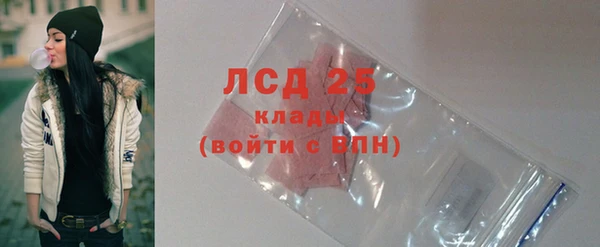амф Каменка