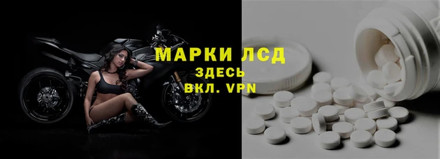 сатива Иннополис