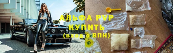 амф Каменка